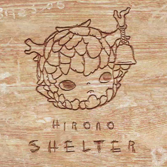 POP MART Hirono Shelter Series Figures  - full set of 12